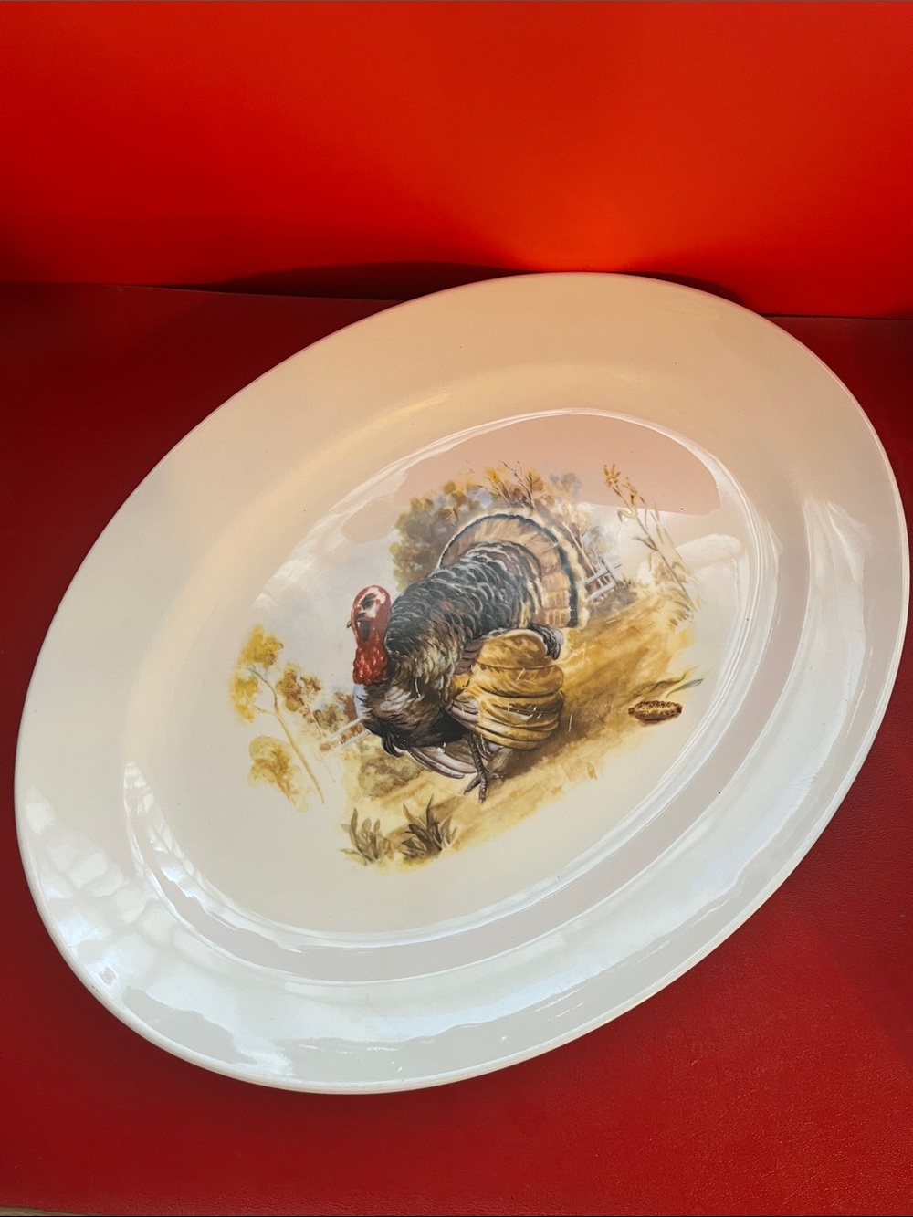 White Turkey Serving Platter - Decorative Holiday Turkey Design 11.5” W 13”1/8 L